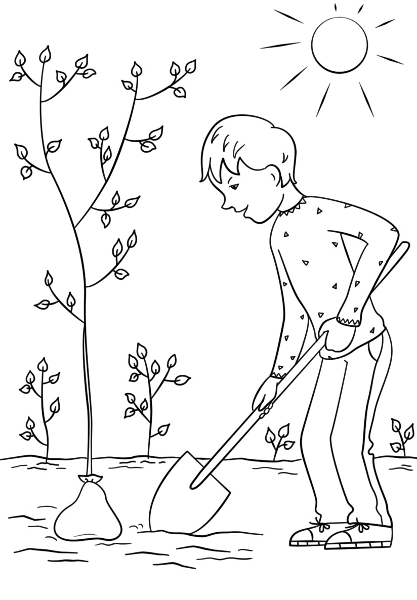 Online coloring book: Coloring page boy plants trees